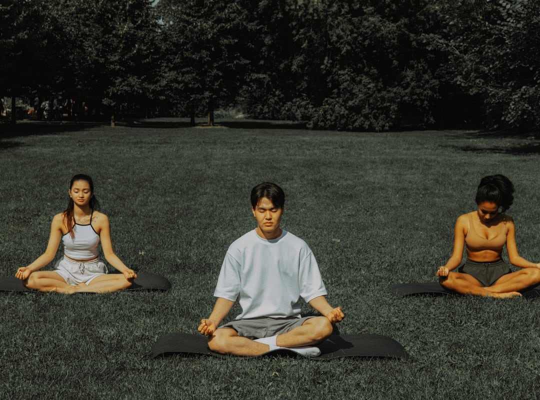 pexels alleksana-6478830